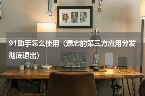 91助手怎么使用（遗忘的第三方应用分发彻底退出）