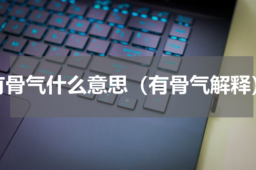 有骨气什么意思（有骨气解释）