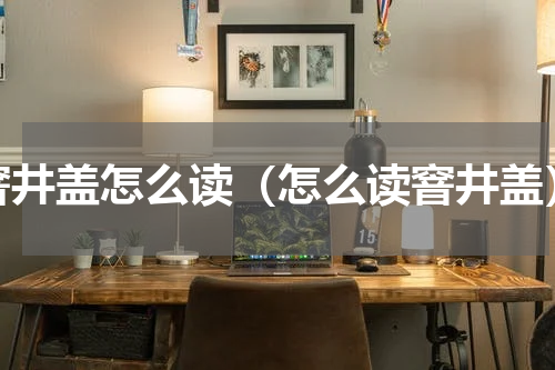 窨井盖怎么读（怎么读窨井盖）