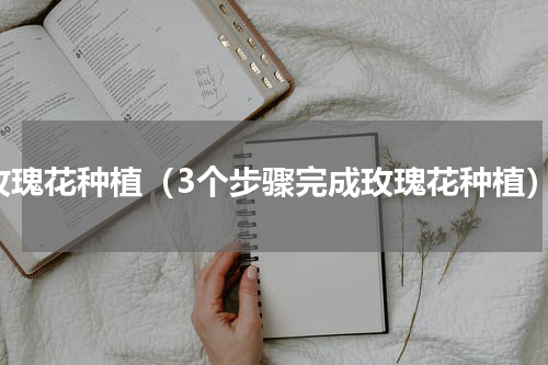 玫瑰花种植（3个步骤完成玫瑰花种植）