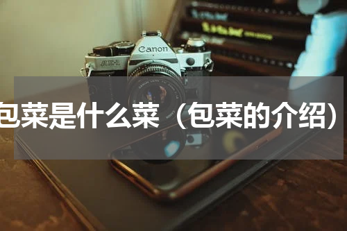 包菜是什么菜（包菜的介绍）