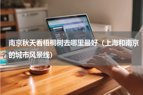 南京秋天看梧桐树去哪里最好（上海和南京的城市风景线）