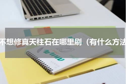 想不想修真天柱石在哪里刷（有什么方法）
