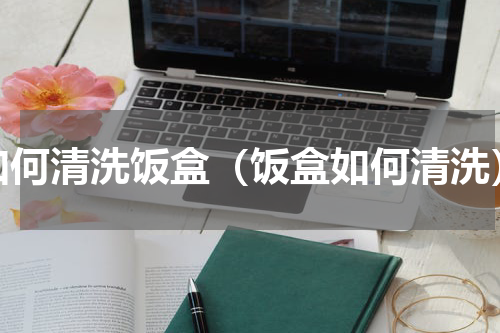 如何清洗饭盒（饭盒如何清洗）