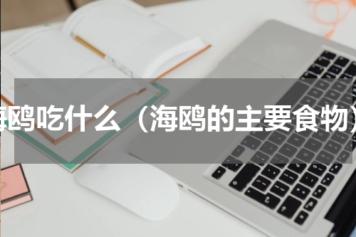 海鸥吃什么（海鸥的主要食物）