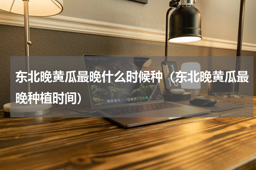 东北晚黄瓜最晚什么时候种（东北晚黄瓜最晚种植时间）
