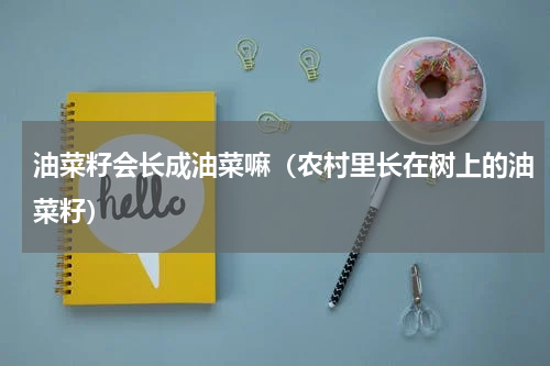 油菜籽会长成油菜嘛（农村里长在树上的油菜籽）