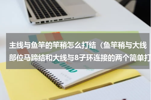 主线与鱼竿的竿稍怎么打结（鱼竿稍与大线部位马蹄结和大线与8子环连接的两个简单打结方式）