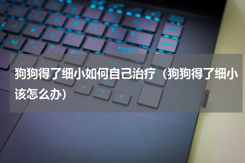 狗狗得了细小如何自己治疗（狗狗得了细小该怎么办）