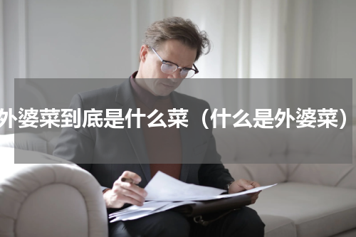 外婆菜到底是什么菜（什么是外婆菜）