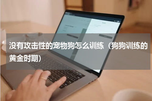 没有攻击性的宠物狗怎么训练（狗狗训练的黄金时期）