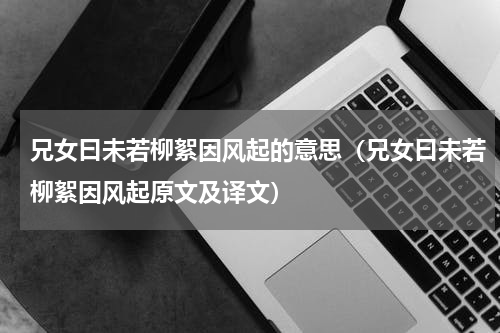 兄女曰未若柳絮因风起的意思（兄女曰未若柳絮因风起原文及译文）