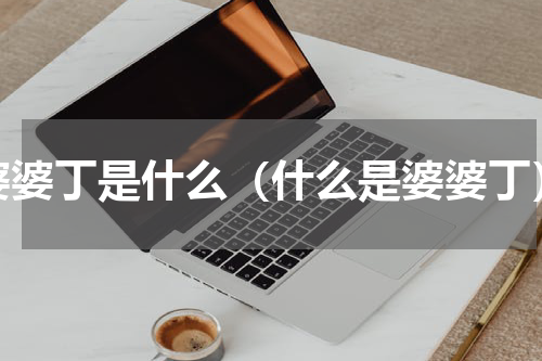 婆婆丁是什么（什么是婆婆丁）