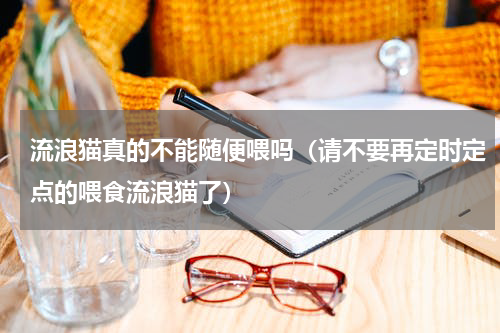 流浪猫真的不能随便喂吗（请不要再定时定点的喂食流浪猫了）
