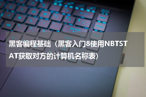 黑客编程基础（黑客入门8使用NBTSTAT获取对方的计算机名称表）
