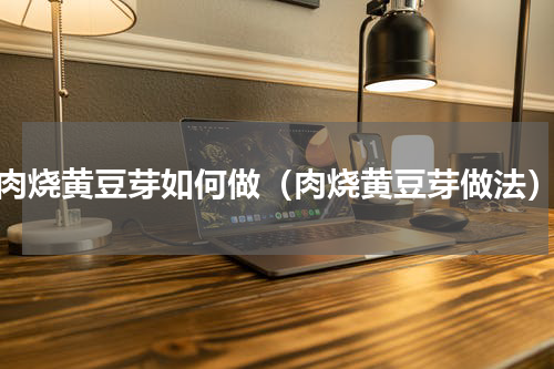 肉烧黄豆芽如何做（肉烧黄豆芽做法）
