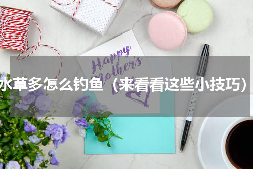 水草多怎么钓鱼（来看看这些小技巧）
