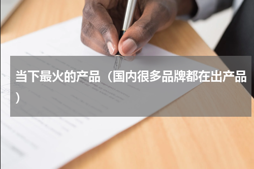 当下最火的产品（国内很多品牌都在出产品）