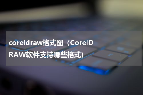 coreldraw格式图（CorelDRAW软件支持哪些格式）