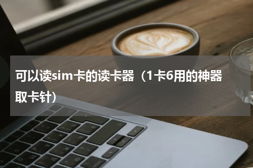 可以读sim卡的读卡器（1卡6用的神器取卡针）