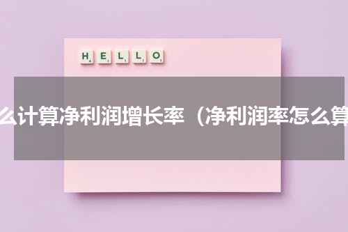 怎么计算净利润增长率（净利润率怎么算）