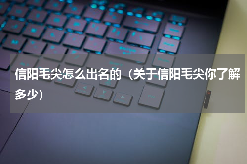 信阳毛尖怎么出名的（关于信阳毛尖你了解多少）