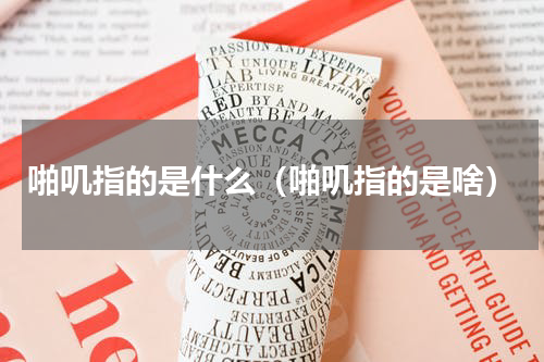 啪叽指的是什么（啪叽指的是啥）