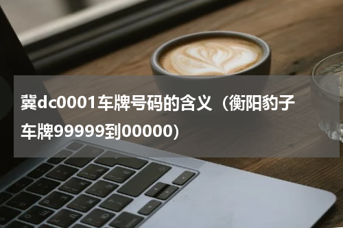 冀dc0001车牌号码的含义（衡阳豹子车牌99999到00000）