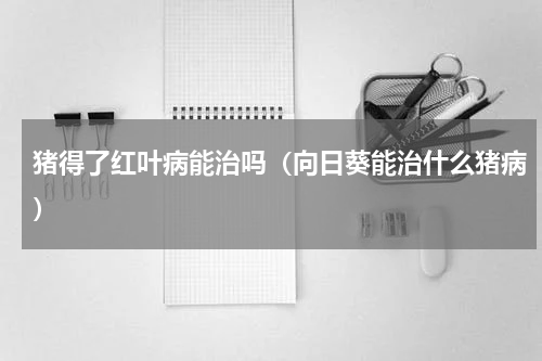 猪得了红叶病能治吗（向日葵能治什么猪病）