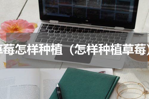 草莓怎样种植（怎样种植草莓）