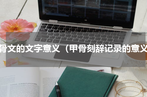 甲骨文的文字意义（甲骨刻辞记录的意义）