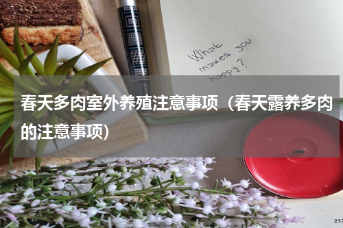 春天多肉室外养殖注意事项（春天露养多肉的注意事项）
