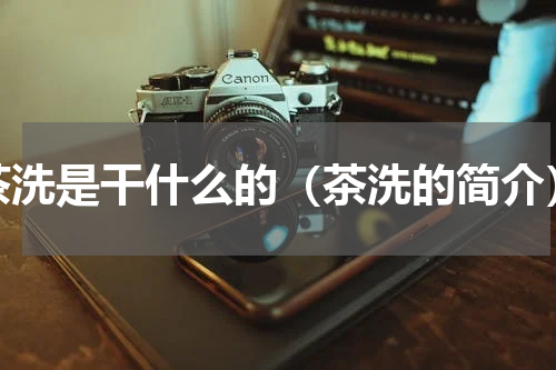 茶洗是干什么的（茶洗的简介）