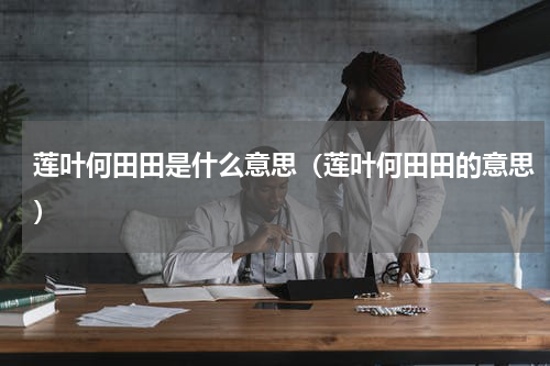 莲叶何田田是什么意思（莲叶何田田的意思）