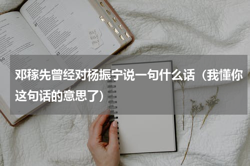 邓稼先曾经对杨振宁说一句什么话（我懂你这句话的意思了）