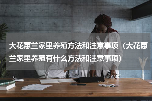 大花蕙兰家里养殖方法和注意事项（大花蕙兰家里养殖有什么方法和注意事项）