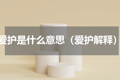 爱护是什么意思（爱护解释）