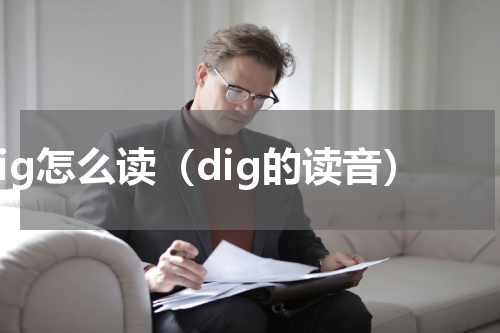 dig怎么读（dig的读音）