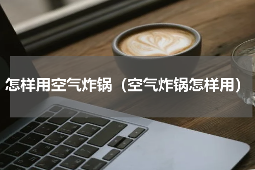怎样用空气炸锅（空气炸锅怎样用）