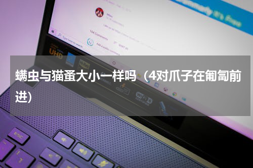 螨虫与猫蚤大小一样吗（4对爪子在匍匐前进）