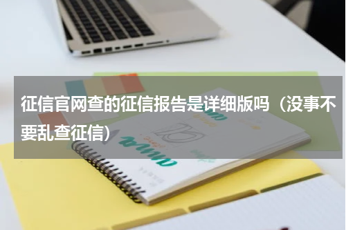 征信官网查的征信报告是详细版吗（没事不要乱查征信）