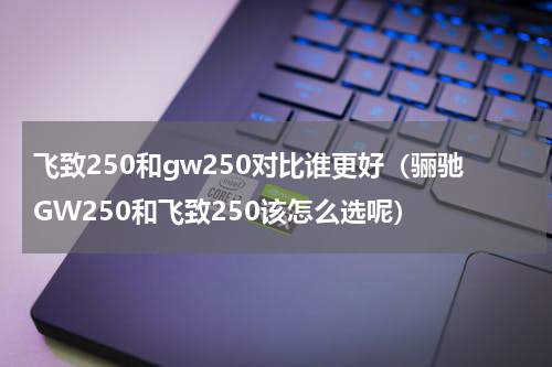 飞致250和gw250对比谁更好（骊驰GW250和飞致250该怎么选呢）