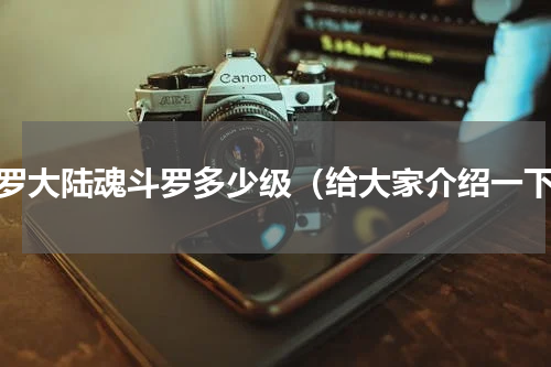 斗罗大陆魂斗罗多少级（给大家介绍一下）
