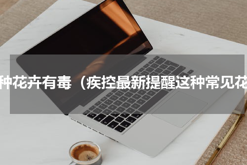 六种花卉有毒（疾控最新提醒这种常见花）