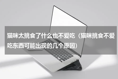猫咪太挑食了什么也不爱吃（猫咪挑食不爱吃东西可能出现的几个原因）