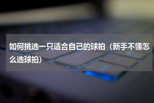 如何挑选一只适合自己的球拍（新手不懂怎么选球拍）