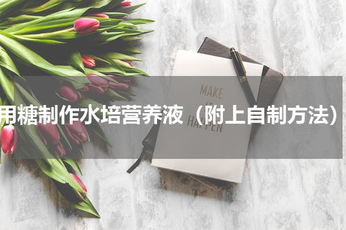 用糖制作水培营养液（附上自制方法）