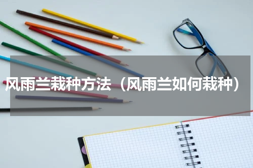 风雨兰栽种方法（风雨兰如何栽种）