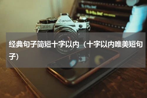 经典句子简短十字以内（十字以内唯美短句子）