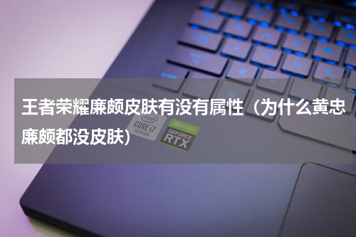 王者荣耀廉颇皮肤有没有属性（为什么黄忠廉颇都没皮肤）